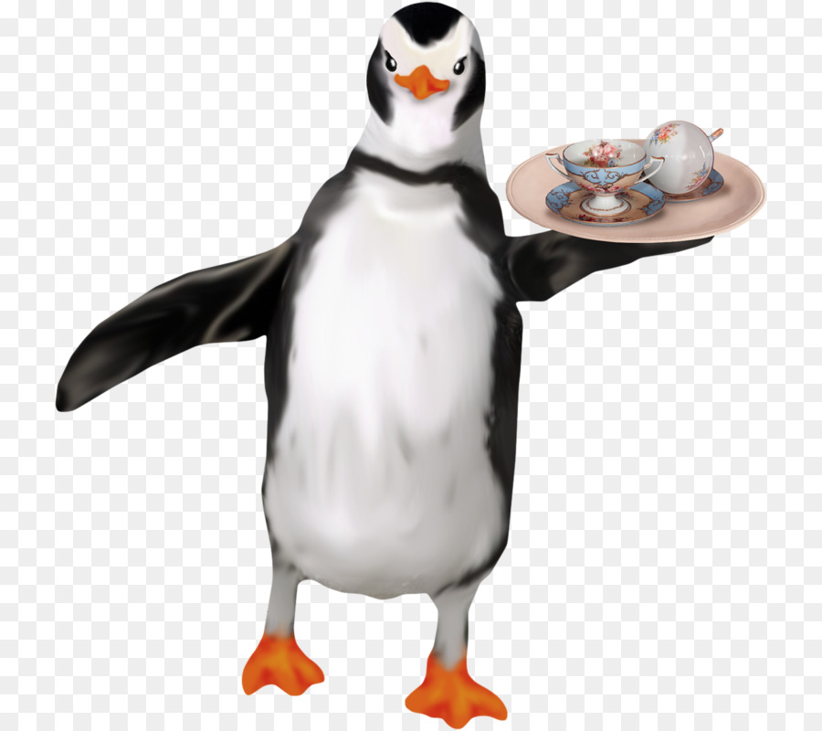 Pinguim，Servindo PNG