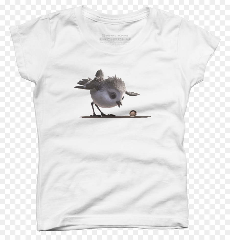 Tshirt，Vestuário PNG