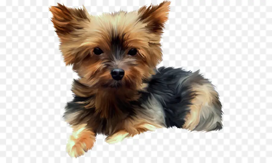 Cachorro，Filhote De Cachorro PNG