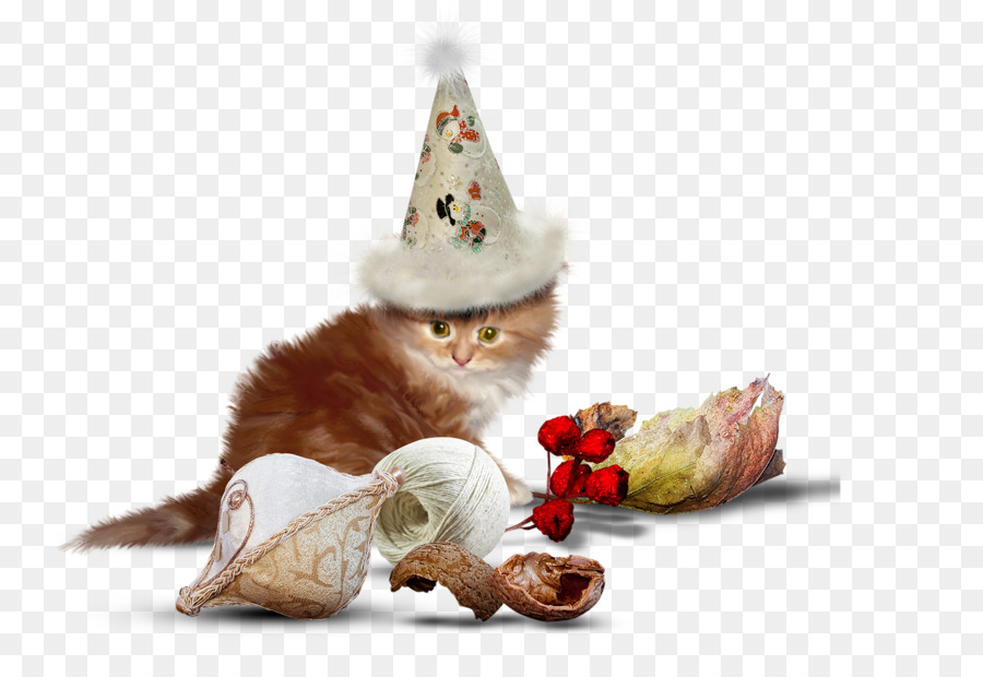 Gato，Gatinho PNG