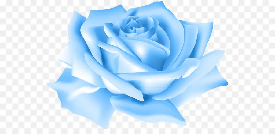 Rosa Azul，Rosa PNG