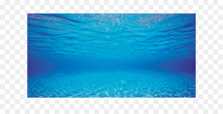 Aquário，Aquascaping PNG