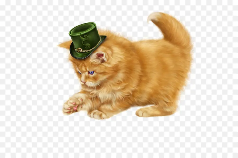 Gatinho Laranja，Chapéu PNG