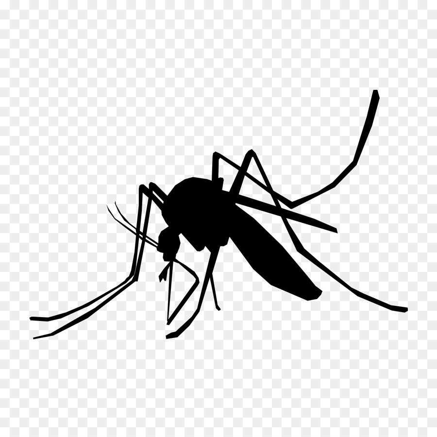 Mosquito，Erro PNG