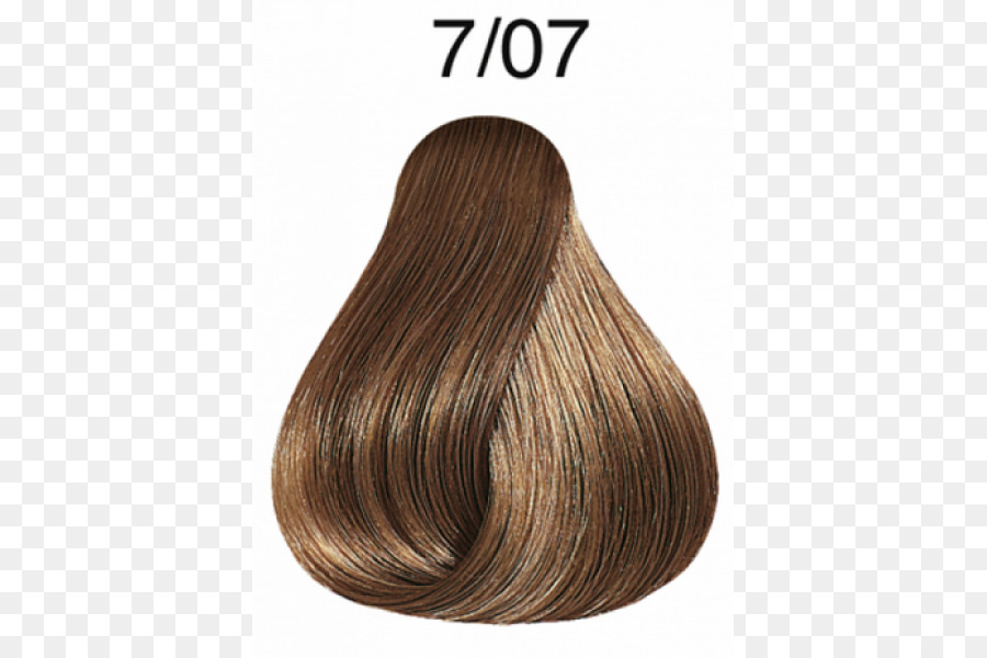 Amostra De Cor De Cabelo，Cabelo PNG