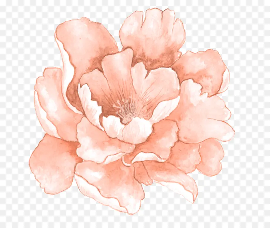 Aquarela Flores，Pintura Em Aquarela PNG