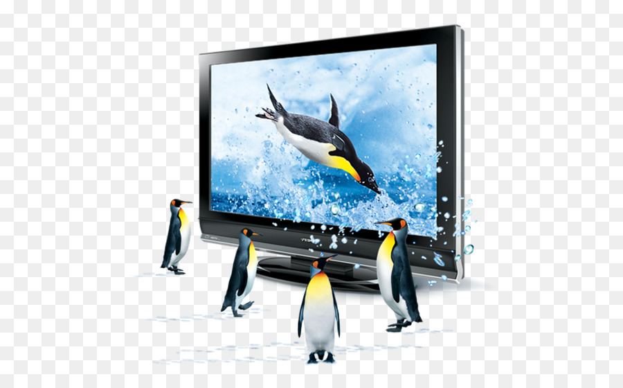 Pinguins，Tv PNG