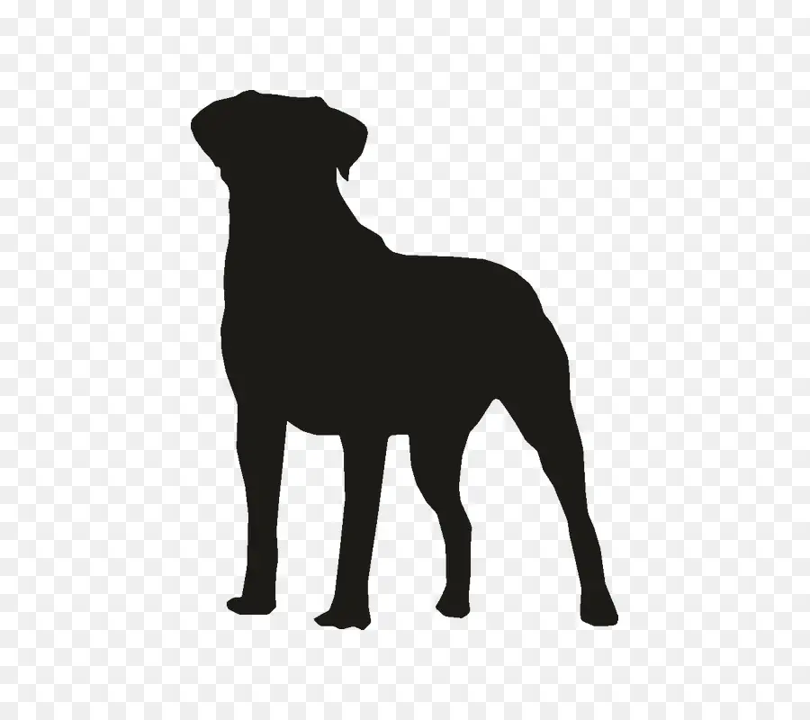 Bulldog，Rottweiler PNG