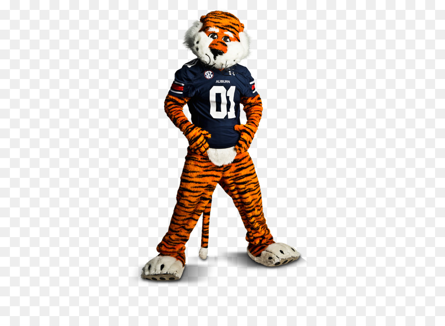 Universidade Auburn，Auburn Tigers Futebol PNG