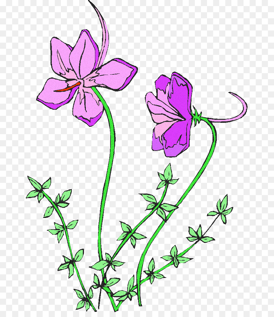 Flores，Roxo PNG