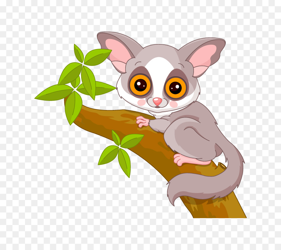 Galago，Royaltyfree PNG