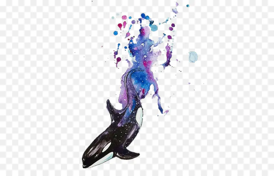 Pintura Em Aquarela，Baleia Assassina PNG