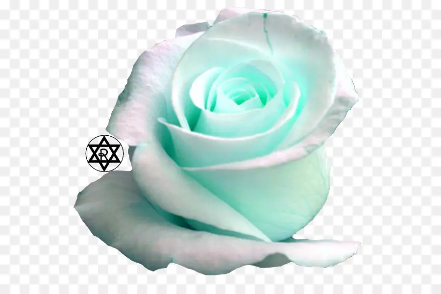 Rosa，Azul PNG