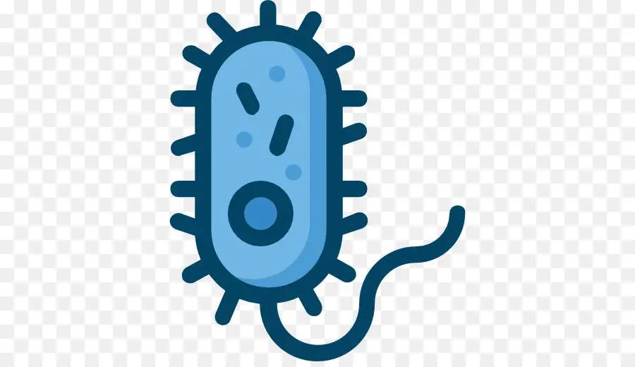 Bactérias，ícones Do Computador PNG