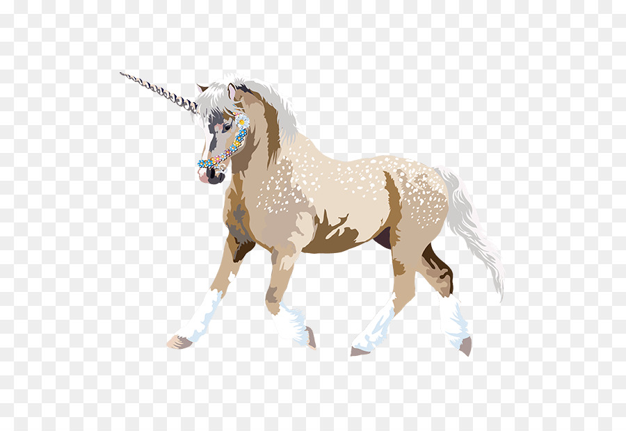 Cavalo，Gatinho PNG