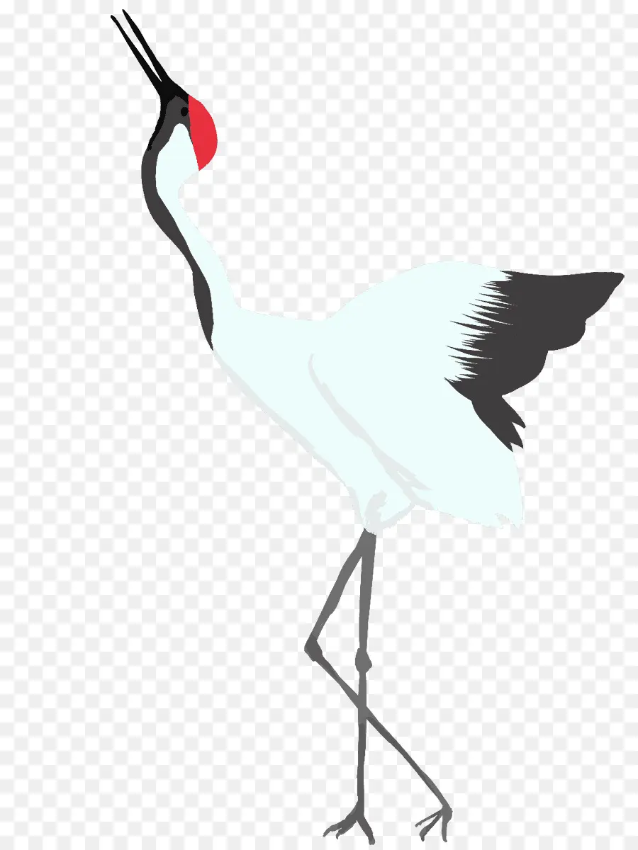 Guindaste，Aves PNG