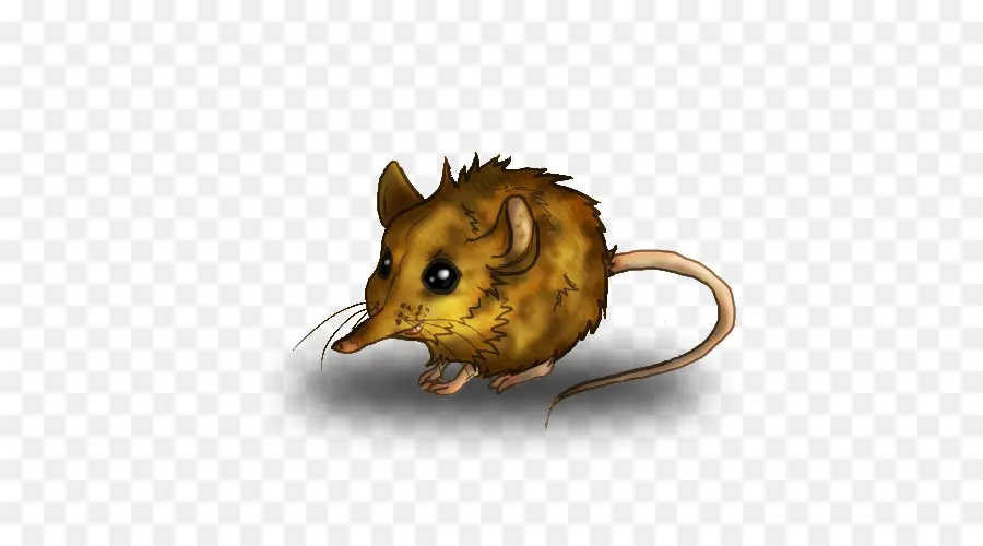 Mouse，Rat PNG