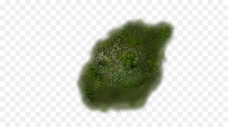 Musgo Verde，Natureza PNG