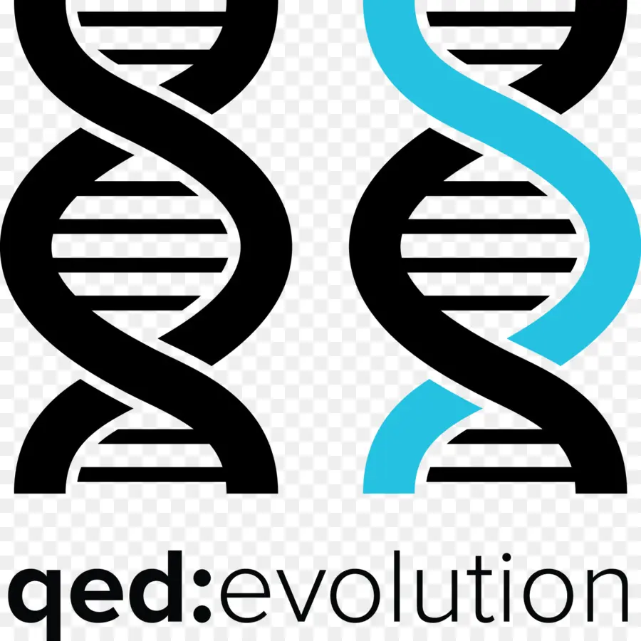 Hélice De Dna，Evolução PNG