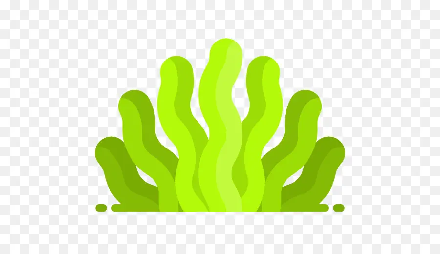 Algas，ícones Do Computador PNG