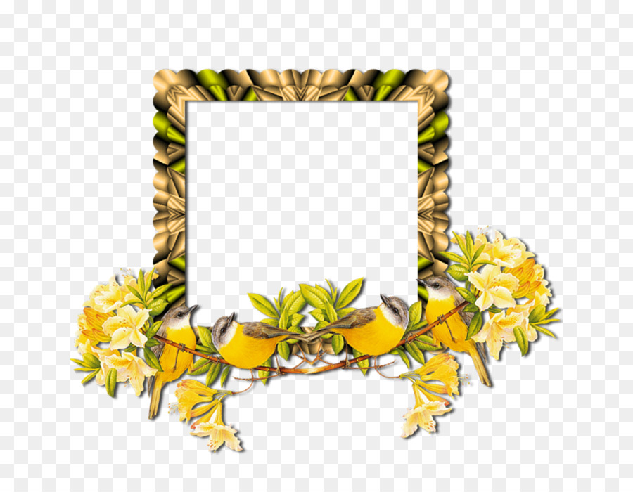 Molduras，De PNG