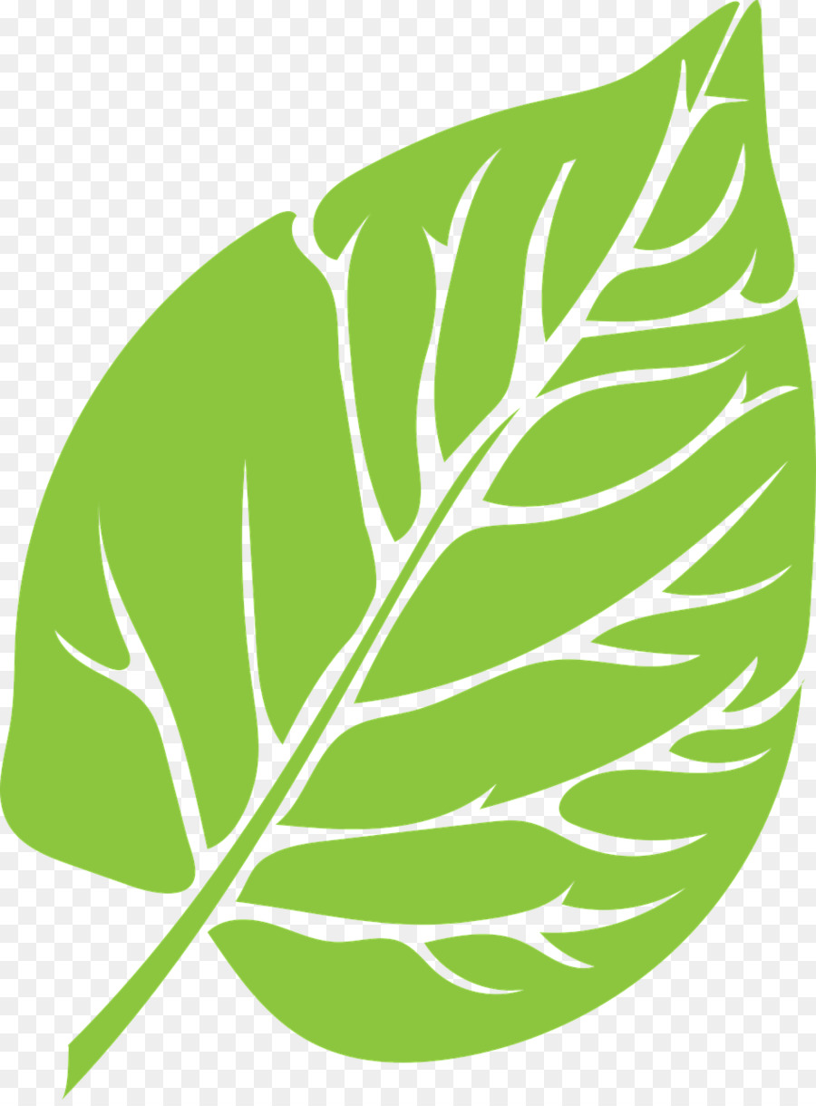 Folha Verde，Plantar PNG