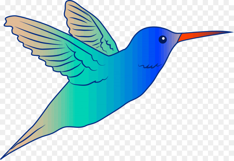 Colibri，Pássaro PNG