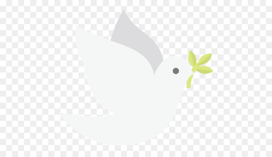 Bico，Aves PNG