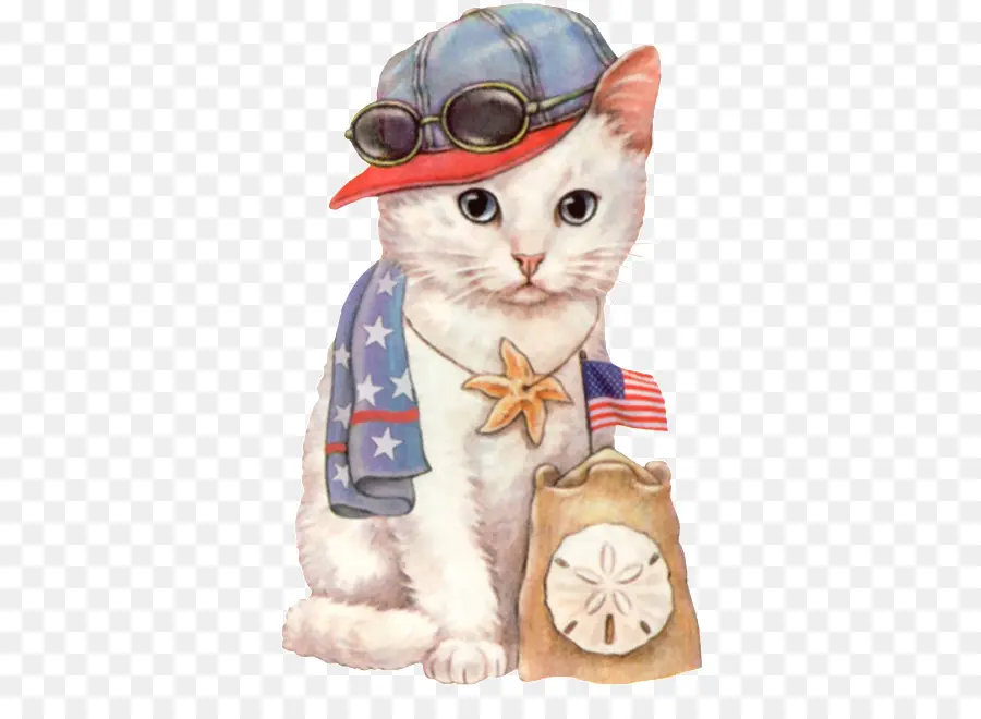 Gato，Gatinho PNG