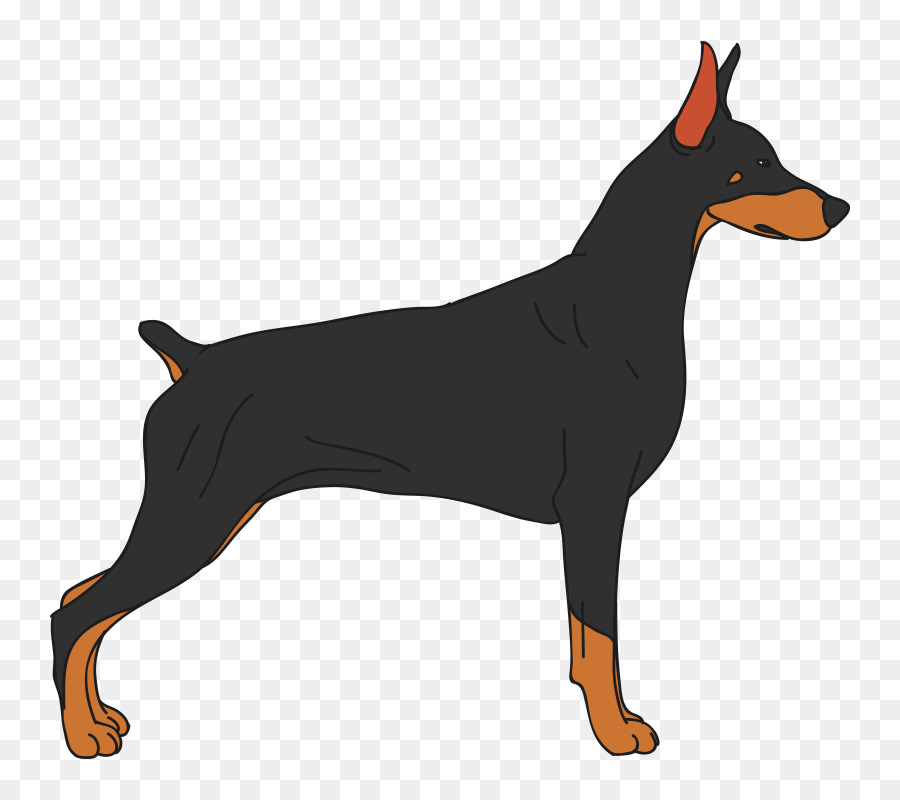 Dobermann，Pinscher Miniatura PNG