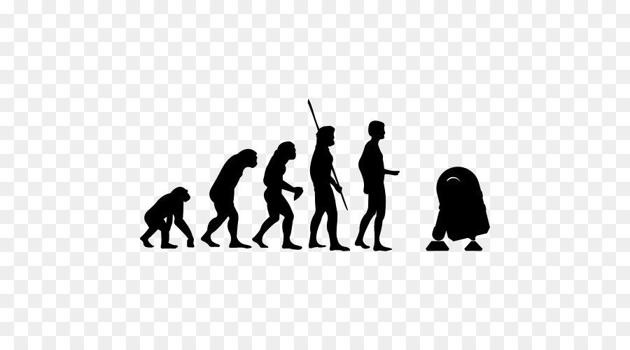 Evolução，Humano PNG