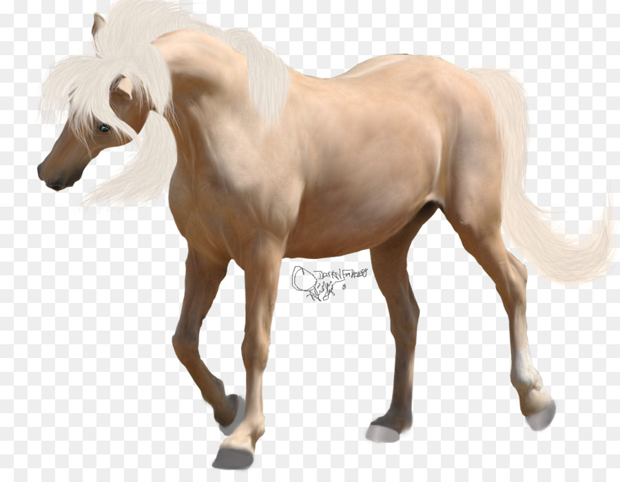 A American Paint Horse，Potro PNG