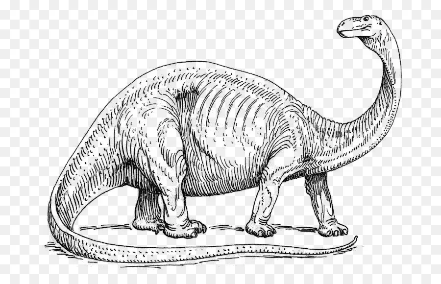 Dinossauro，Pré Histórico PNG