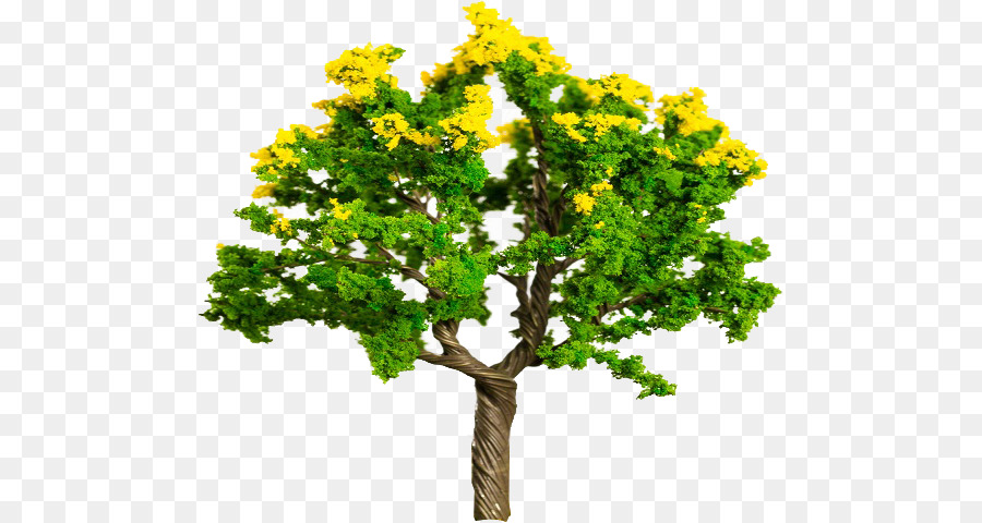 Fio，árvore PNG
