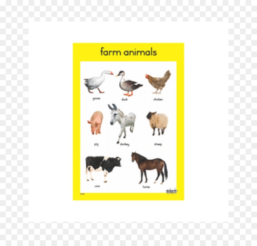 Animal De Estimação，Animal Farm PNG