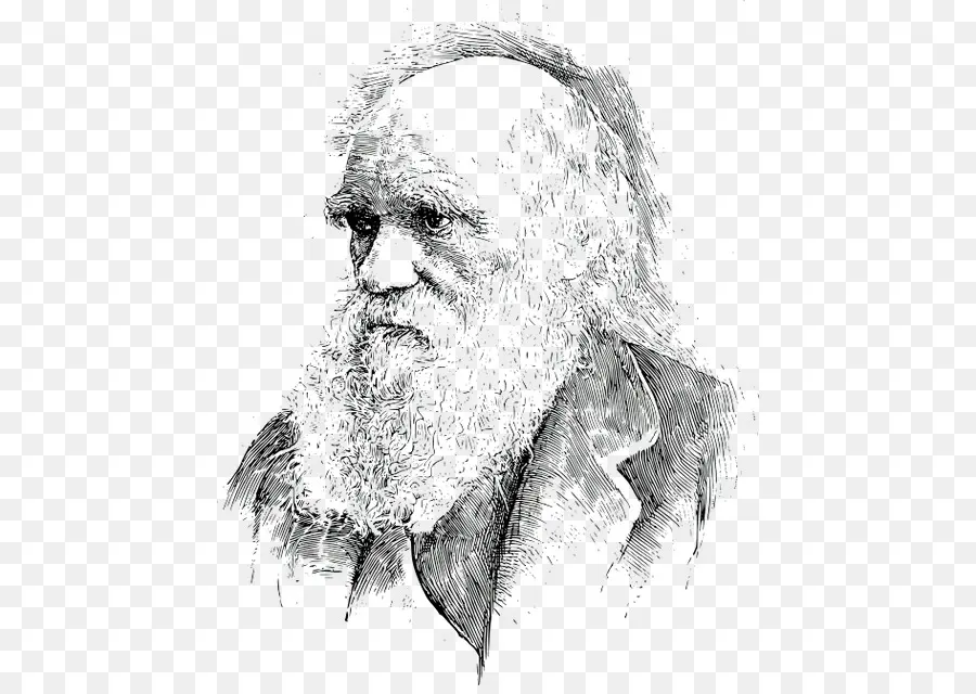 O Que Darwin Tem De Errado，Charles Darwin Vitoriana Mythmaker PNG