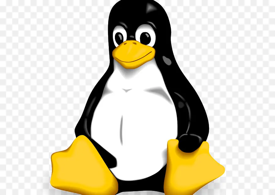 Pinguim，Desenho Animado PNG