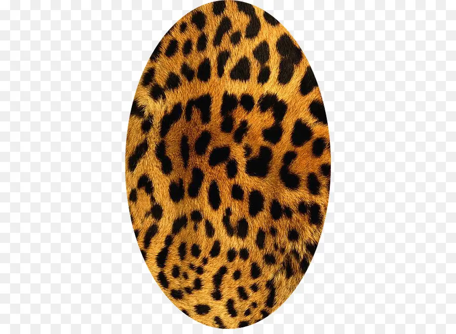 Estampa De Leopardo，Estampa Animal PNG