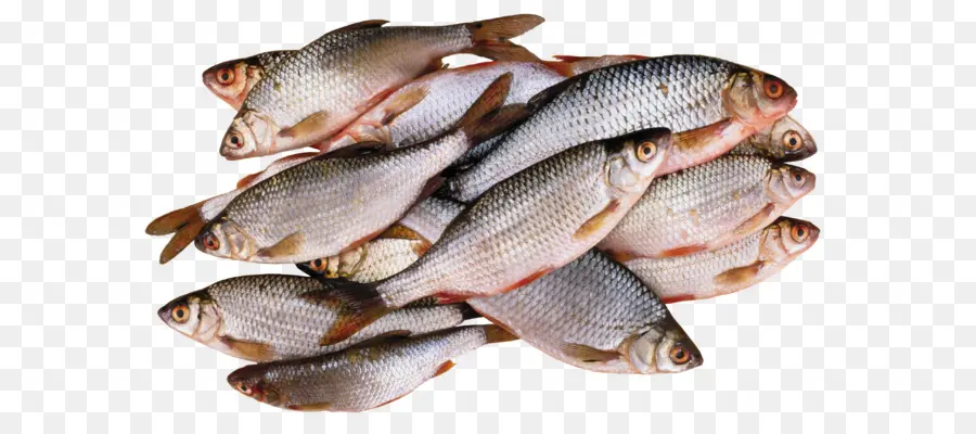 Peixe，Frutos Do Mar PNG