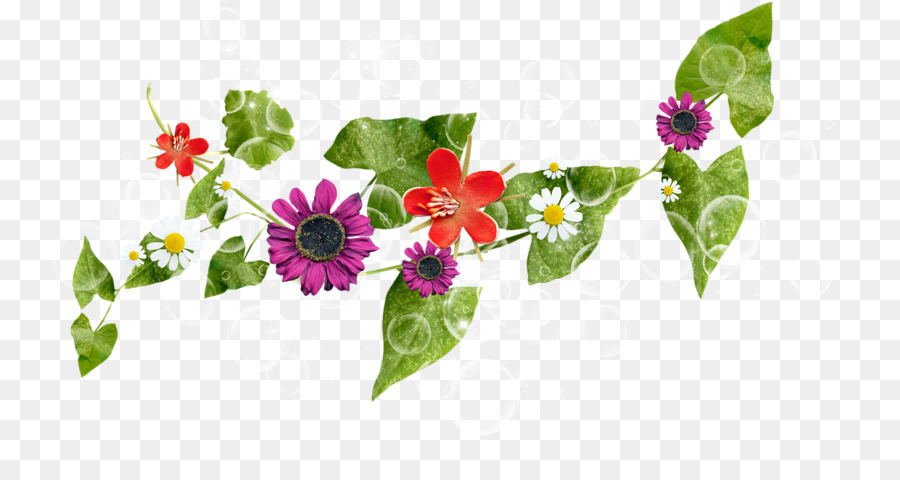 Flores，Folhas PNG