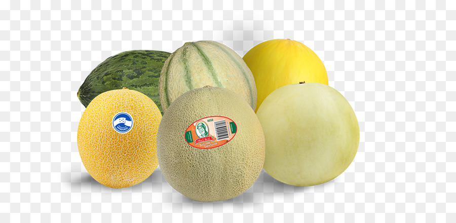 Honeydew，Melão PNG