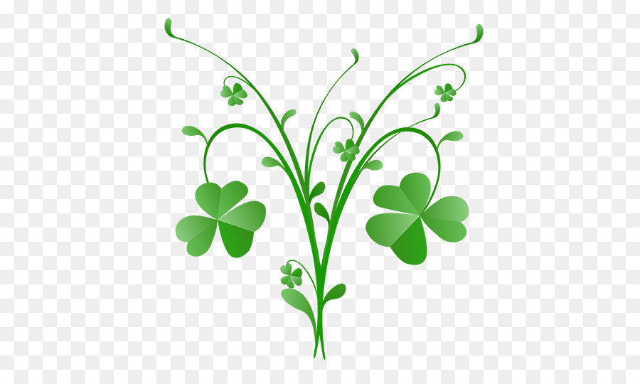 Saint Patrick S Day，Trevo PNG