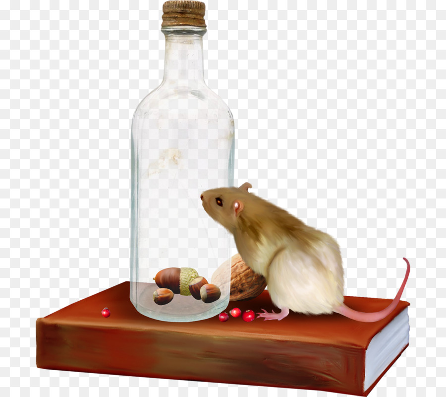 Rat，Mouse De Computador PNG