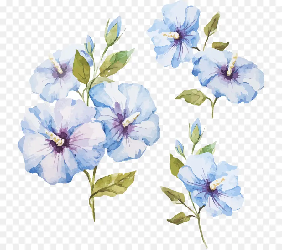 Aquarela Flores，Pintura Em Aquarela PNG