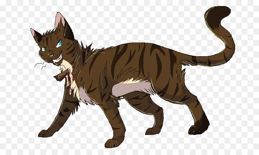 Toyger，Sokoke PNG