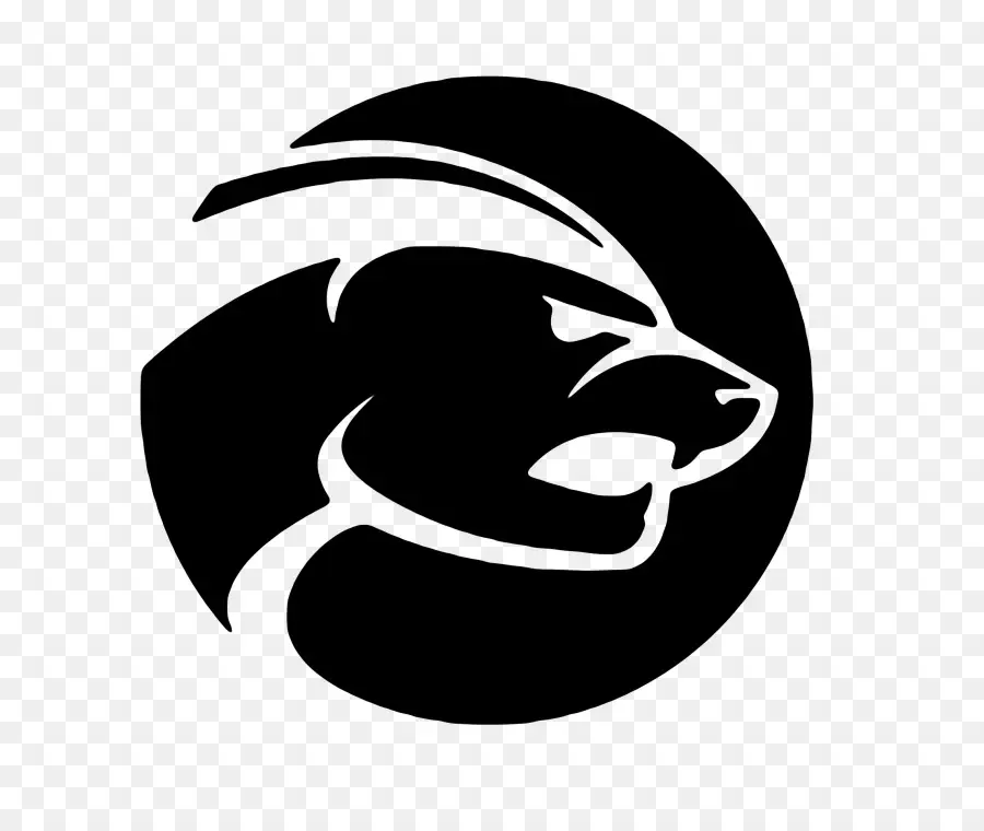 Honey Badger，Texugo PNG