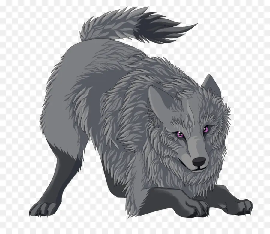 Lobo Cinzento，Fox PNG