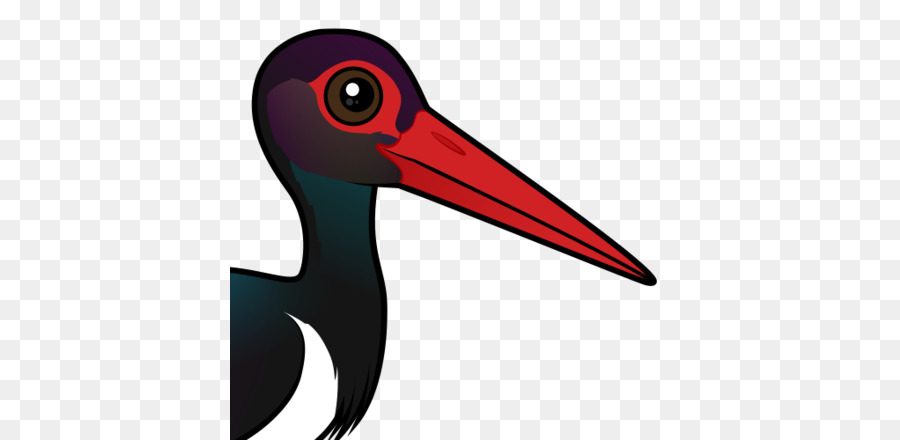 Bico，Aves PNG