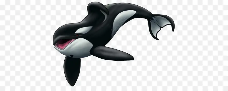 Dolphin，Keiko PNG