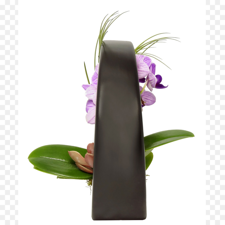 Onyx，Orquídeas PNG